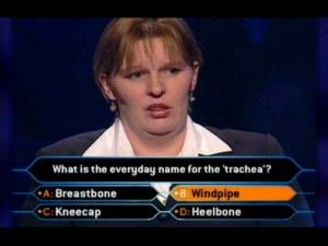 http://www.ukgameshows.com/atoz/programmes/w/who_millionaire/wwtbam_new_5.jpg