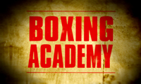 Image:Boxing_academy_logo.jpg