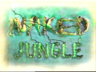 Image:Nakedjungle_logo.jpg