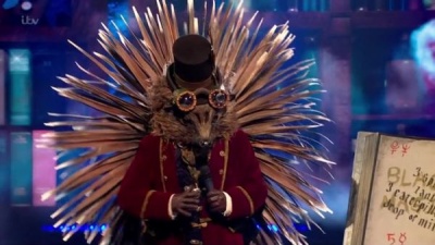 The Masked Singer