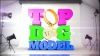 Top Dog Model