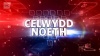 Celwydd Noeth