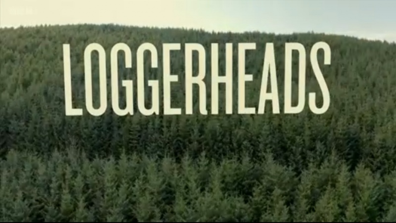 File:Loggerheads title screen.jpg