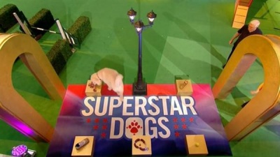 Superstar Dogs