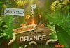 Camp Orange